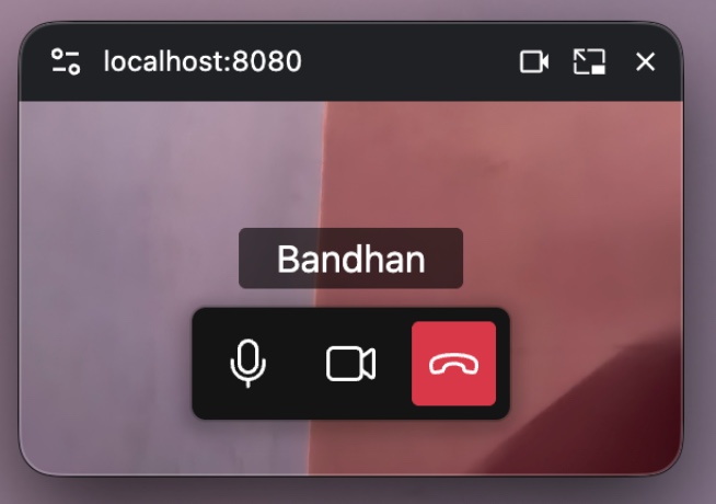 Compact Document PiP window showing meeting controls and participant video
